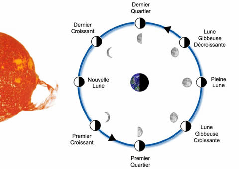 cycle de la lune astronomie