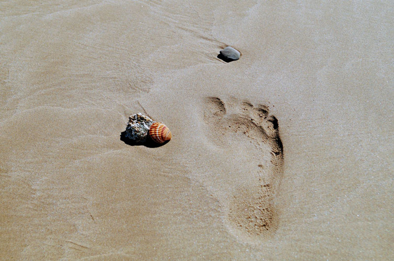 footprint Photo by Pascal Müller on Unsplash