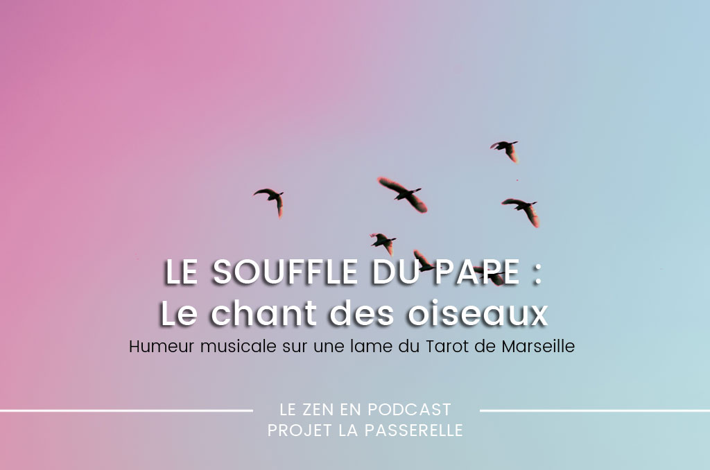 You are currently viewing Le souffle du PAPE : le chant des oiseaux