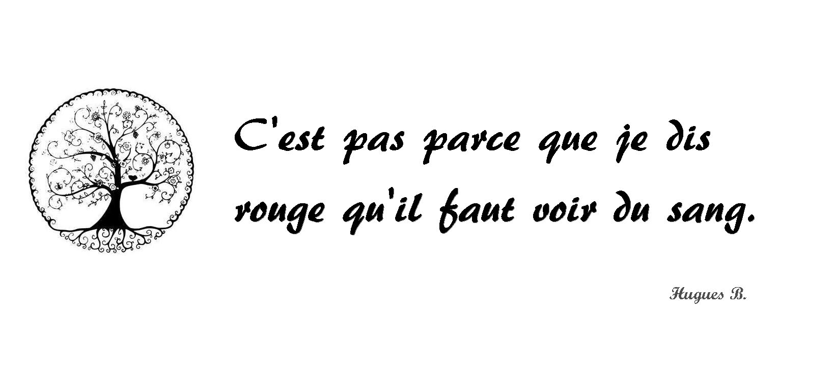 les koan kong mancie et rock n roll